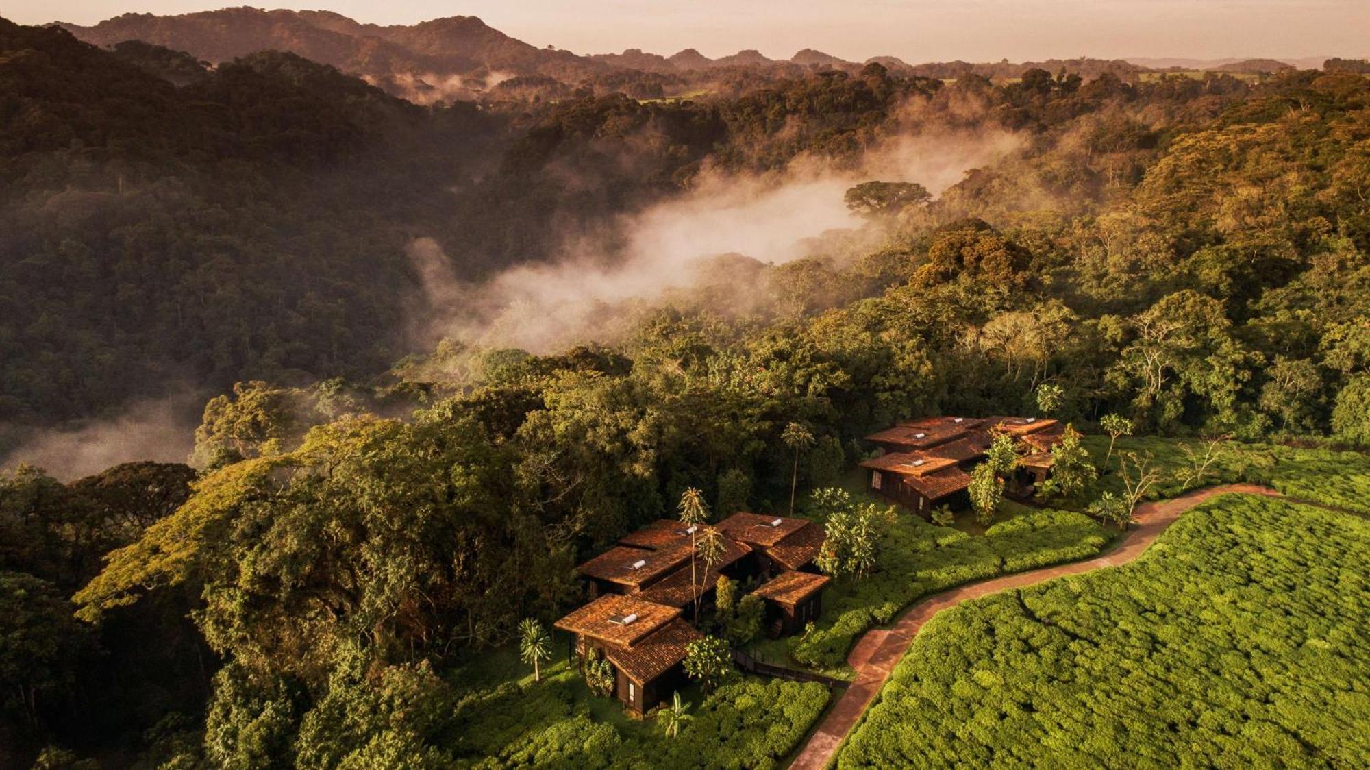 Villa One&Only Nyungwe House Rwumba Esterno foto